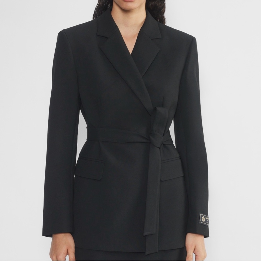 Aritzia Babaton Innovate Blazer